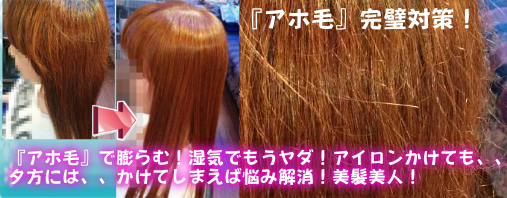 美髪革命 - 横浜エリア美髪矯正トリートメント不要（ノートリ）が起こす美髪革命矯正