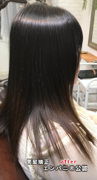美髪カラー - 蒲田美髪化専門店の濃厚トリートメント不要ノートリ美髪カラーはダメージフリーにたけている